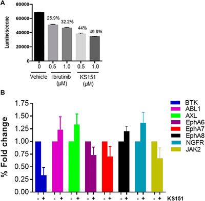 Development of a novel Bruton’s tyrosine kinase inhibitor that exerts anti-cancer activities potentiates response of chemotherapeutic agents in multiple myeloma stem cell-like cells